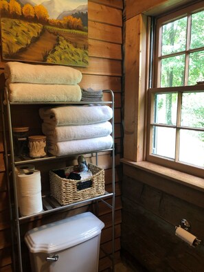 Interior - Cottage close to Town (Hendersonville)