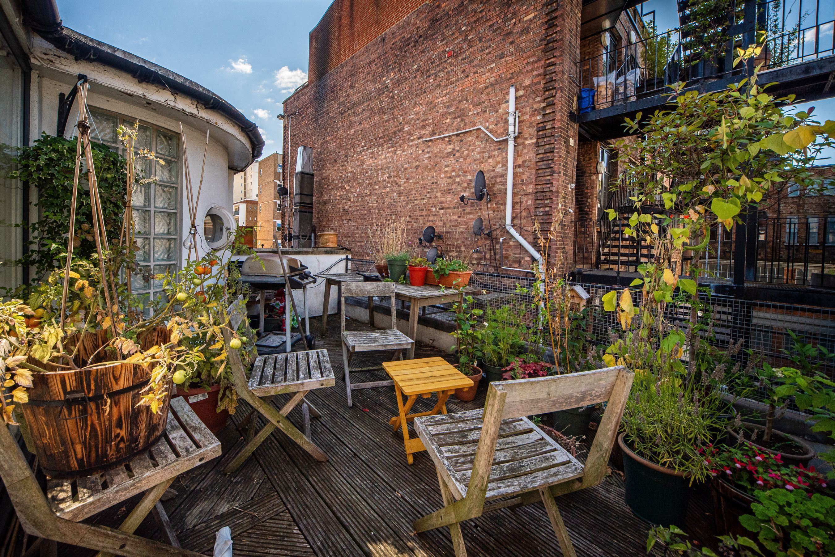 المنطقة المحيطة بالمنشأة