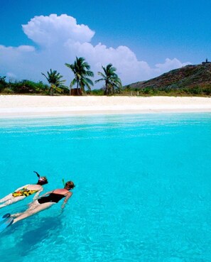 A clear blue sea with two people swimming. There are palm trees and a sandy beach in the background.