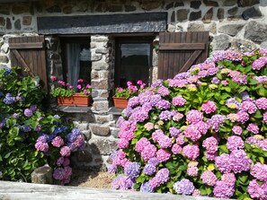 DĂ©tail de lâextĂ©rieur