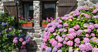 Lovely cottage in quiet country hamlet near the Vallee des Saints heritage site