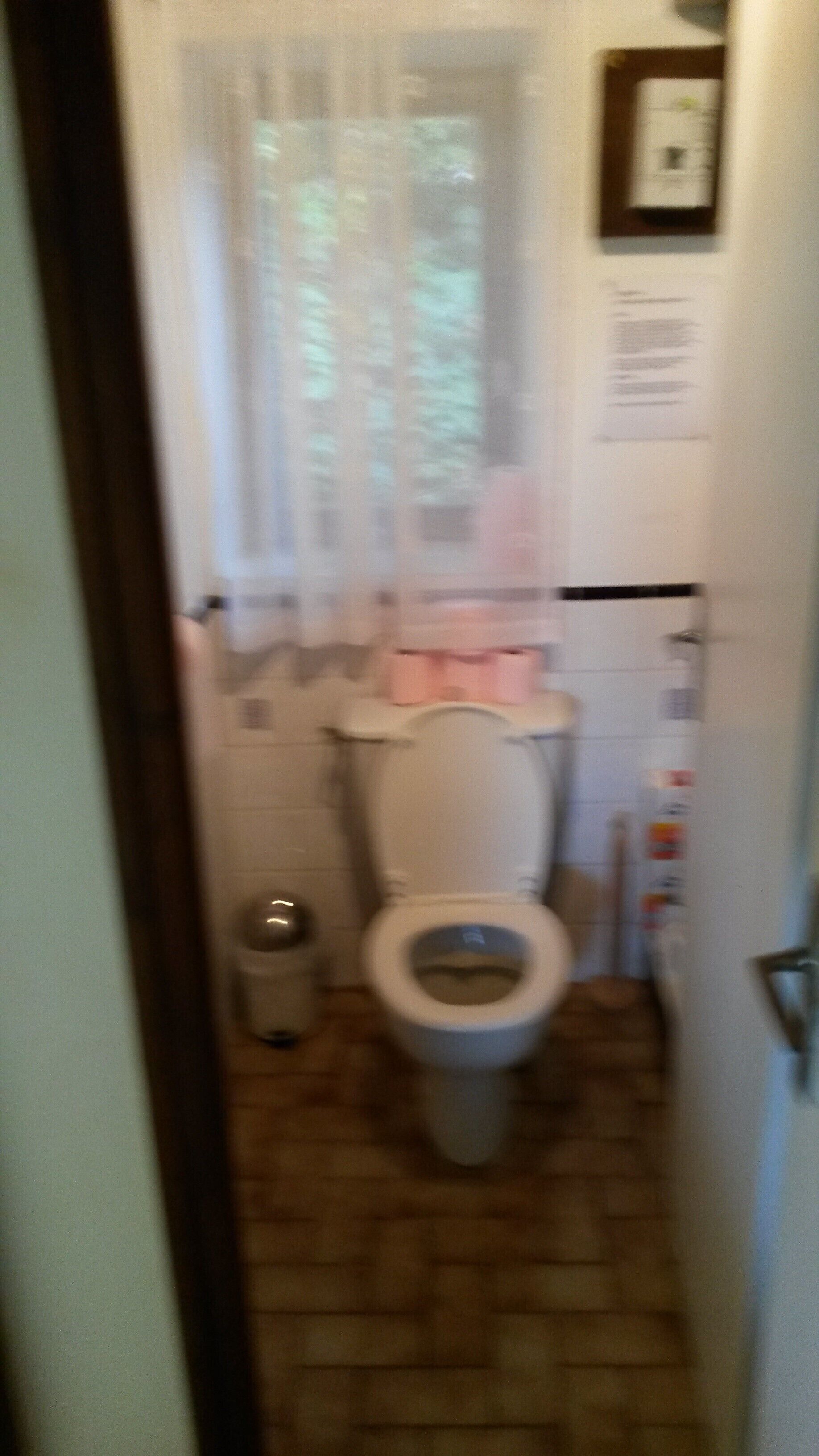 Ein kleines, schmales Badezimmer mit Toilette, einem Mülleimer und einem Fenster mit Vorhang.