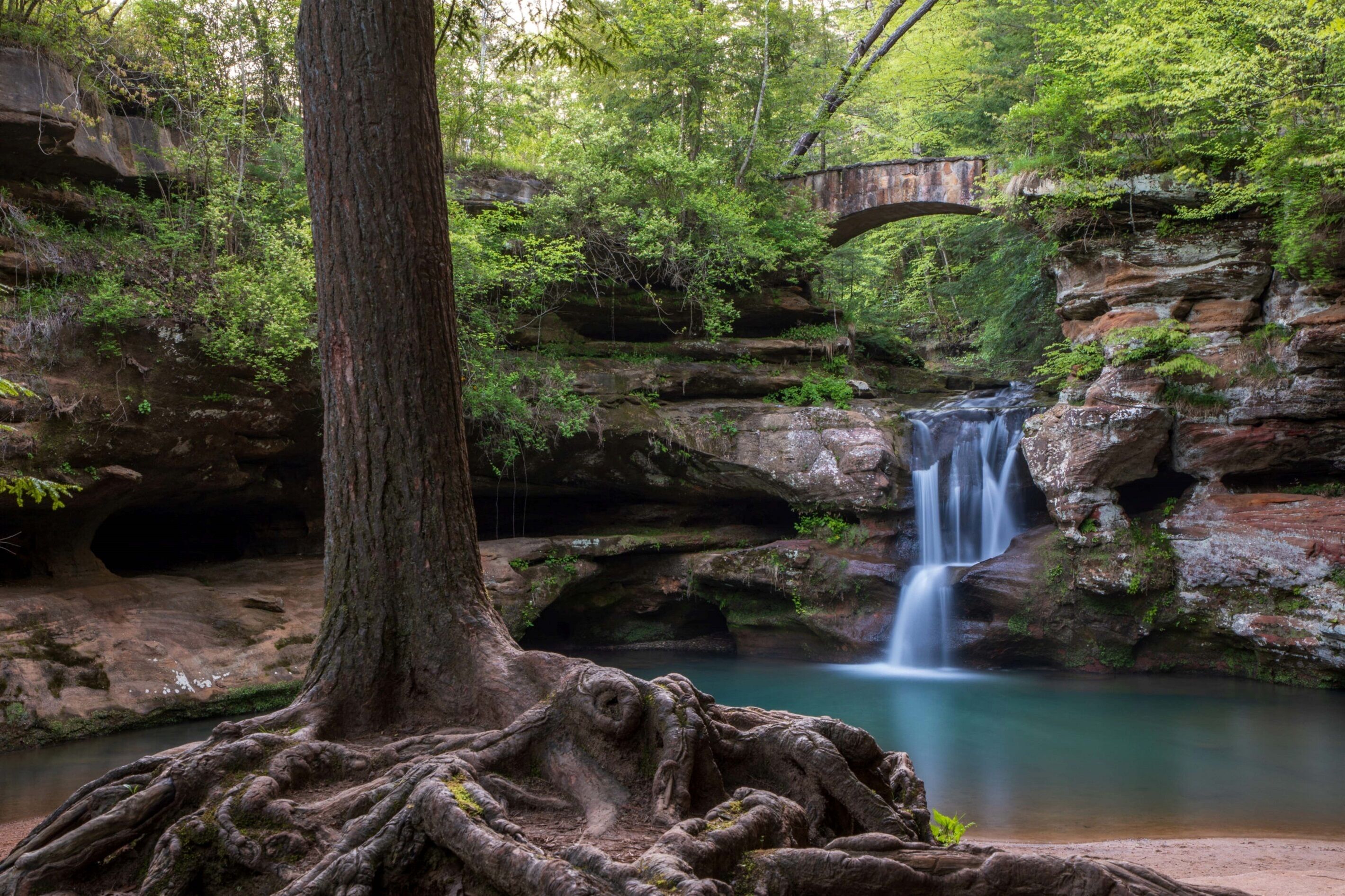 Un paisaje natural con cascada, un puente y un árbol grande de raíces extensas.