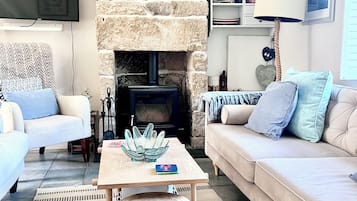 Smart TV, fireplace, books