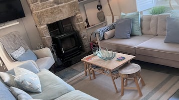 Smart TV, fireplace, books