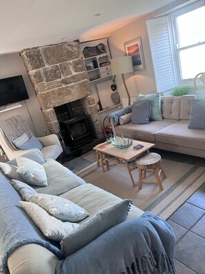 Smart TV, fireplace, books