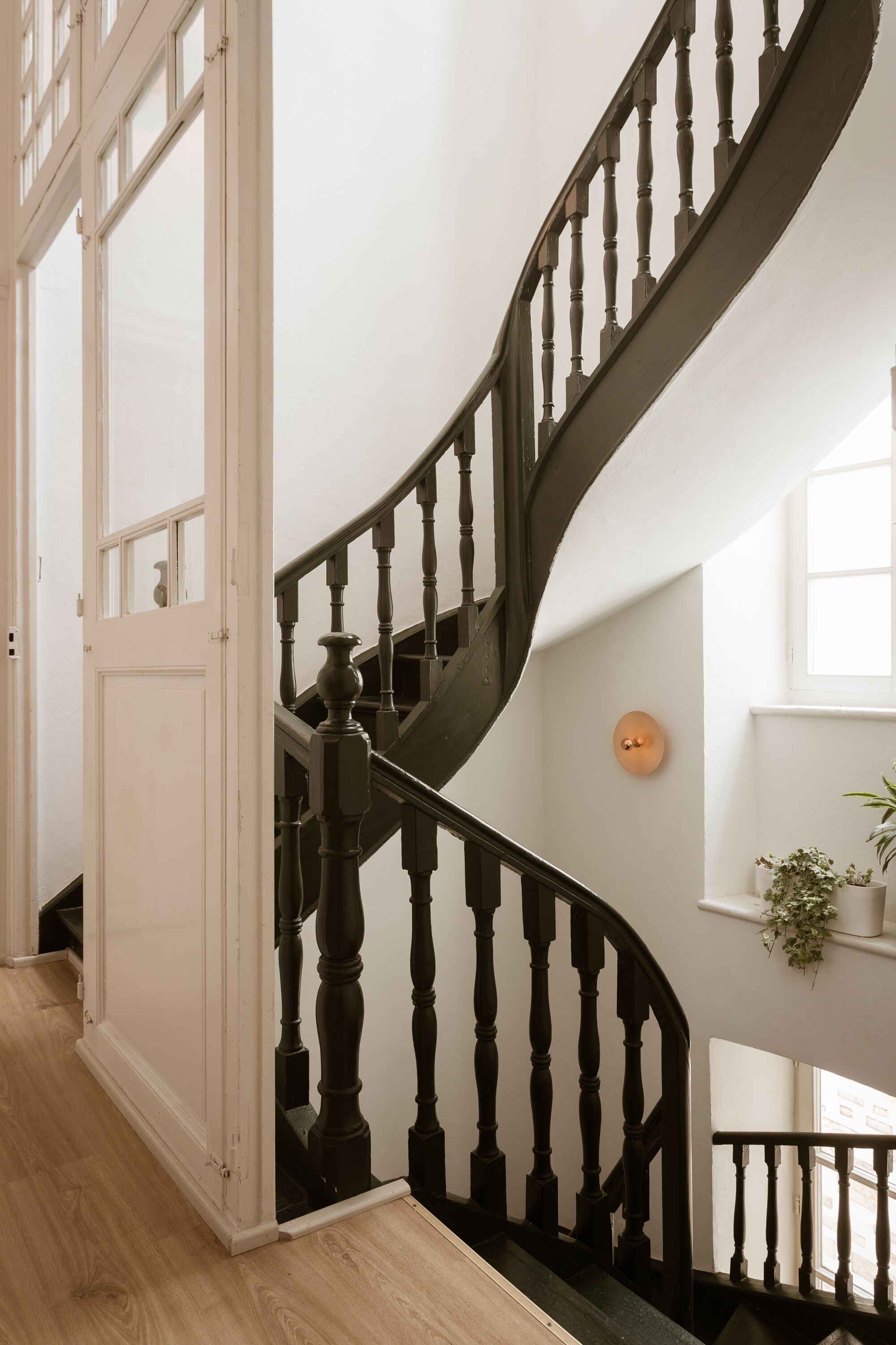 A wooden staircase with a curved design, white walls, and a small potted plant on a shelf.