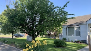 Una casa con césped, un árbol y una entrada para vehículos.