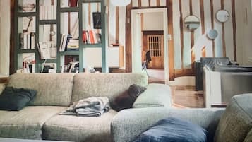 TV, fireplace, books