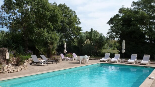 A rectangular pool with clear blue water, surrounded by white lounge chairs and umbrellas, set against a backdrop of lush green trees. - Gite1 T3 with swimming pool in the heart of the vineyards (34310 - CAPESTANG)