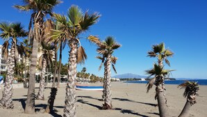 Une plage bordée de palmiers, sous un ciel bleu et dégagé.
