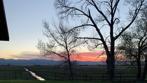 A landscape with a clear sky, a tree, and a fence.