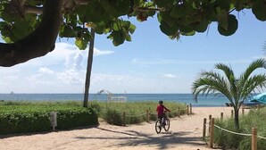 Een zandpad met een fietser, palmbomen en een strand op de achtergrond.