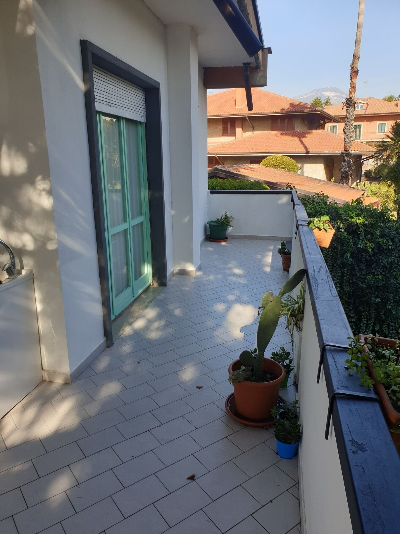 Un balcón con plantas en macetas, suelo de baldosas y vistas a edificios vecinos.