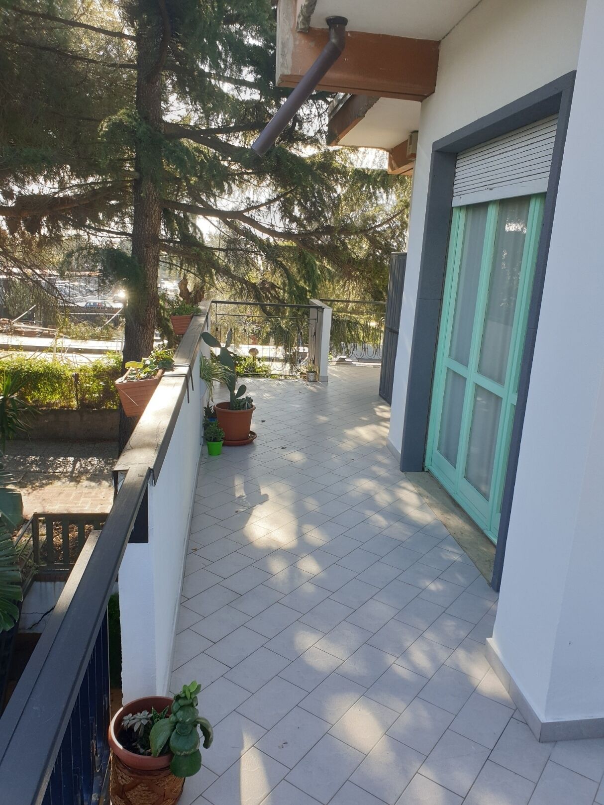 Ein Balkon mit Fliesenboden, Blumentöpfen und Blick auf Bäume sowie ein Gebäude im Hintergrund.