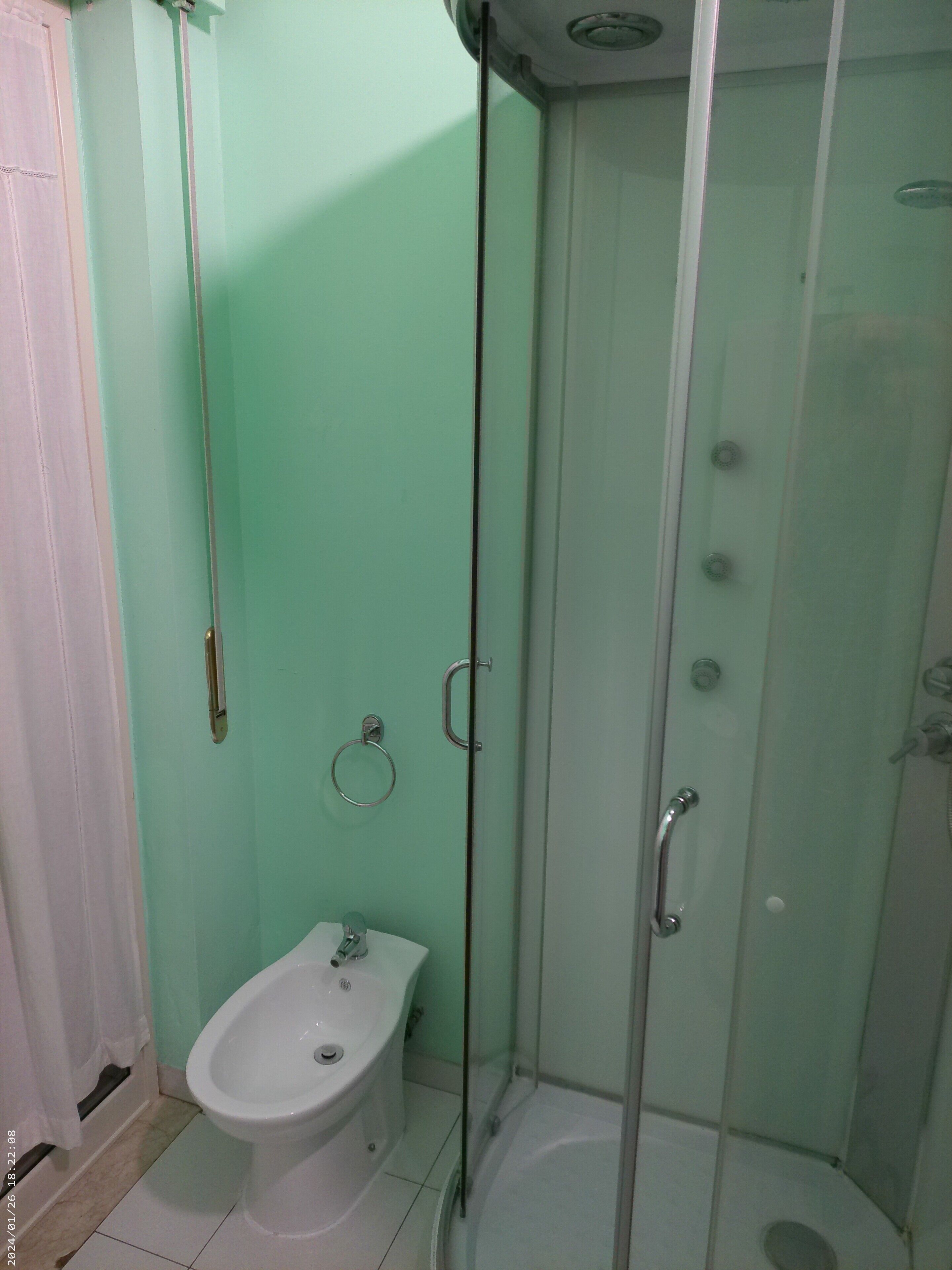 Shower, hair dryer, bidet, towels