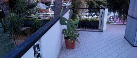 Terras