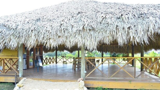 Un espacio al aire libre techado con techo de paja, plataforma de madera y disposición de asientos.