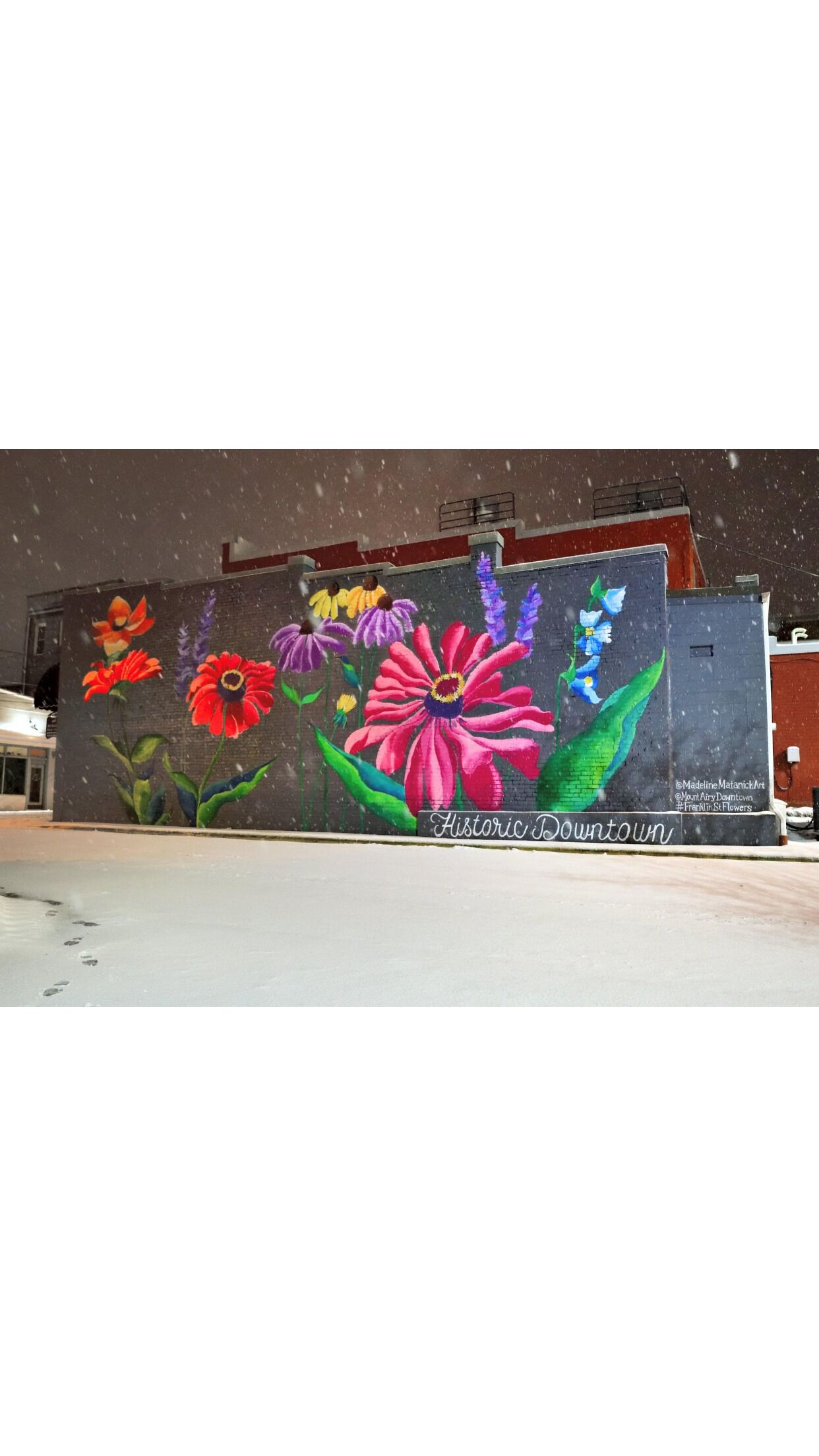 Une fresque représentant des fleurs aux couleurs vives sur le mur d’un immeuble.