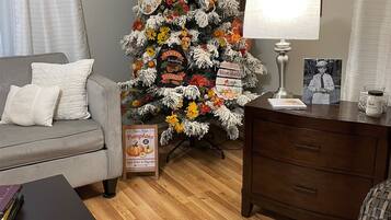 TV connectée, cheminée, lecteur de DVD, livres