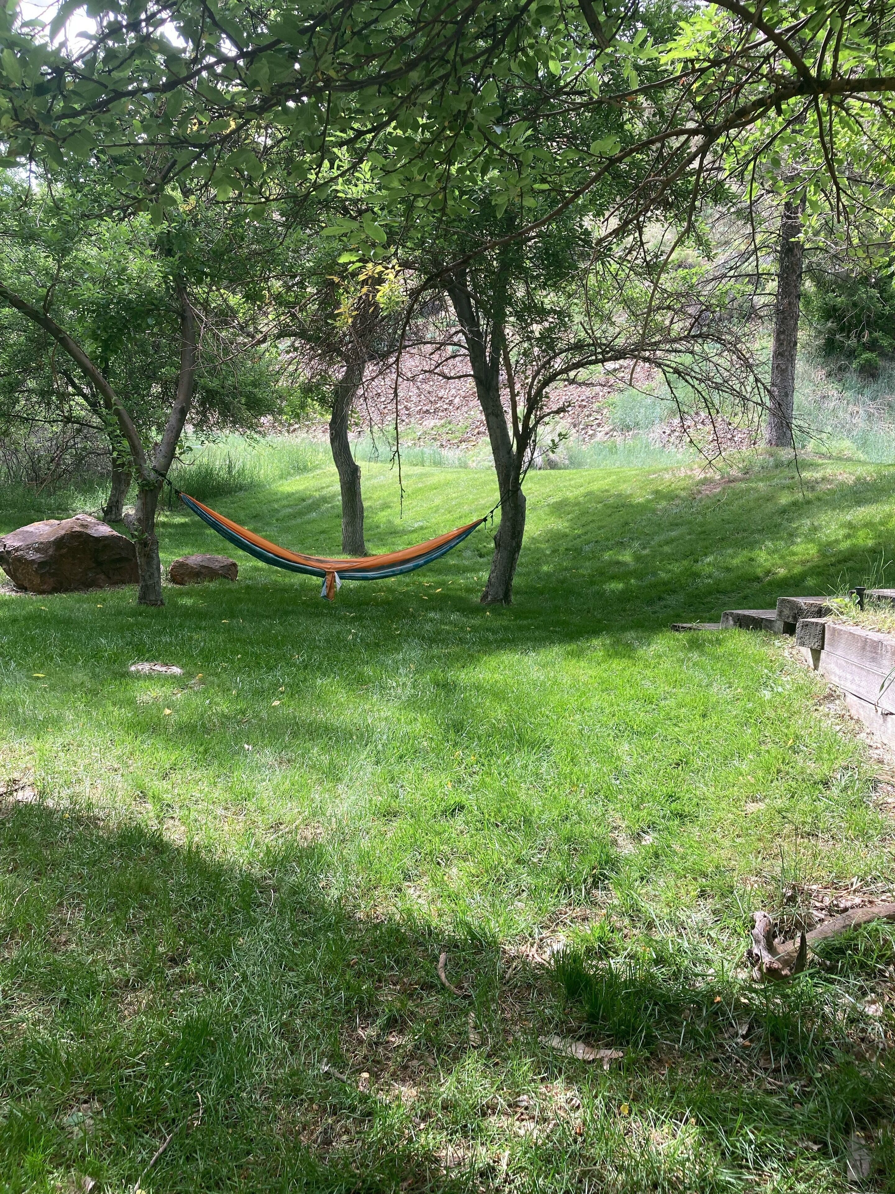 Un hamac tendu entre deux arbres, dans une zone herbeuse parsemée de rochers et bordée d’un chemin en béton.