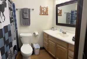 Bathtub, hair dryer, towels, soap