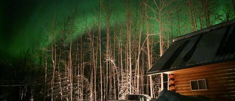 A cabin with a truck parked in front, surrounded by a forest.
