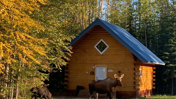 A log cabin with a metal roof, a door, and a mailbox. - Moose Tracks Cabin in North Pole, Alaska (North Pole)