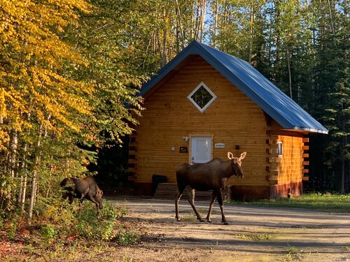 Moose Tracks Cabin in North Pole, Alaska