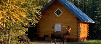 Moose Tracks Cabin in North Pole, Alaska