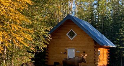Moose Tracks Cabin in North Pole, Alaska