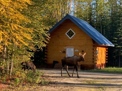Moose Tracks Cabin in North Pole, Alaska