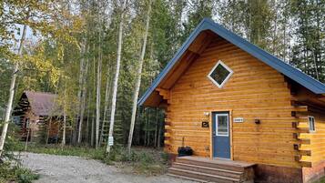 Une cabane en rondins avec un toit bleu, une porte et un petit porche.