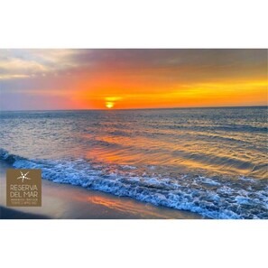 Playa en los alrededores y camastros 