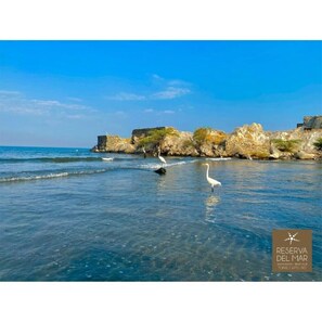 Playa en los alrededores y camastros 