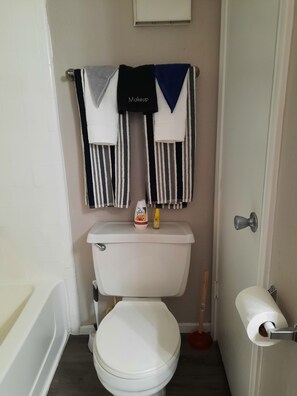 Combined shower/bathtub, hair dryer, towels, soap