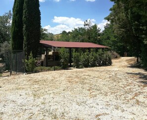 Apartment, 1 Schlafzimmer | Außenbereich