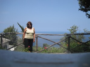 Villa, 3 Bedrooms, Balcony, Garden View | View from property - Villa Rena in Mouresi Seaview (Faistos)