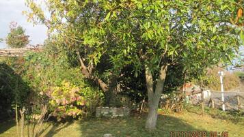 Villa, 3 Bedrooms, Balcony, Garden View | Terrace/patio