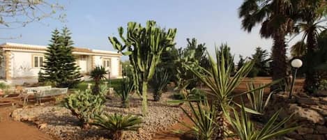 Apartment, 1 Bedroom, Smoking, Patio | Property grounds