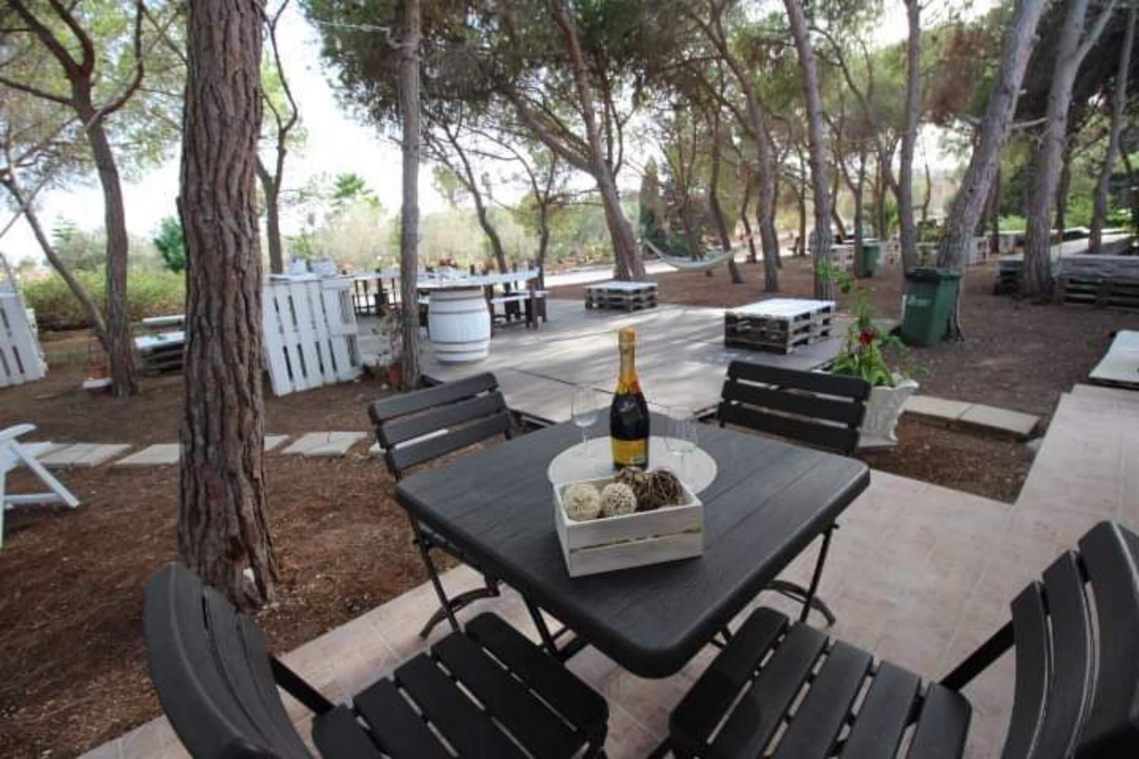 Apartment, 1 Schlafzimmer, Raucher, Terrasse | Speisen im Freien