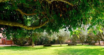 Villa Aurora, Private Pine Forest, Barbecue, Solarium