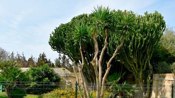Villa, 2 chambres, réfrigérateur | Jardin