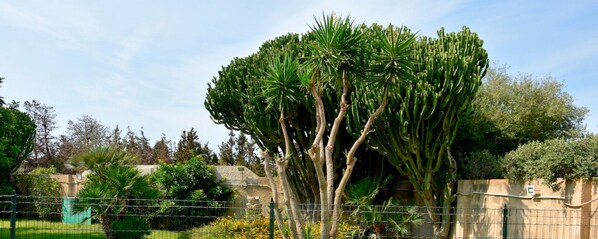 Villa, 2 Schlafzimmer, Kühlschrank | Garten