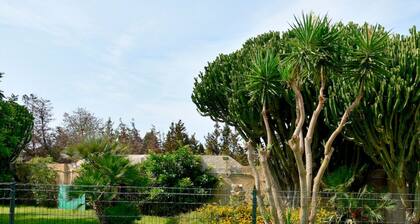 Villa Aurora, Private Pine Forest, Barbecue, Solarium