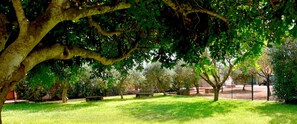 Exterior - Villa Aurora, Private Pine Forest, Barbecue, Solarium (Marsala)