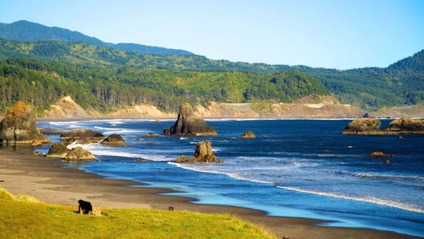 A coastal landscape with a grassy area, rocky outcrops, and a forested hill in the background. - Beautiful cottage, close to beach (Port Orford)