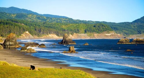 Beautiful cottage, close to beach