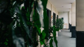 A hallway with potted plants, a wooden bench, and a door at the end. - The Kamare by Zuzu (Tibubeneng)