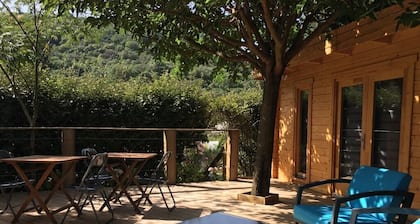 Chalet le mûriers platane